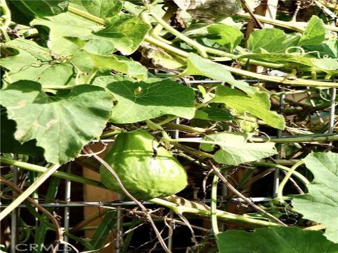 1891  Mckinney  26B  Way, Seal Beach, CA