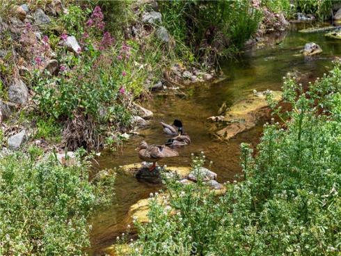 29229 Hazel Bell Drive, Silverado Canyon, CA