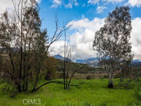 28181  Hidea Way  , Silverado Canyon, CA