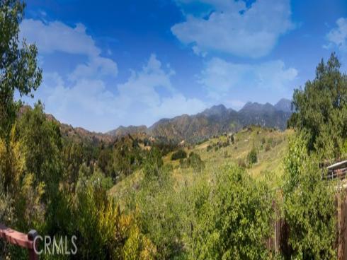 19731 Live Oak Canyon Road, Trabuco Canyon, CA