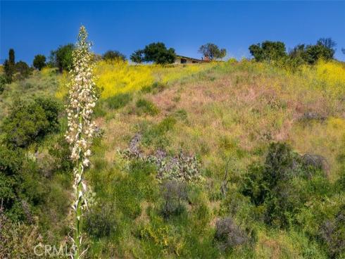 19731 Live Oak Canyon Road, Trabuco Canyon, CA