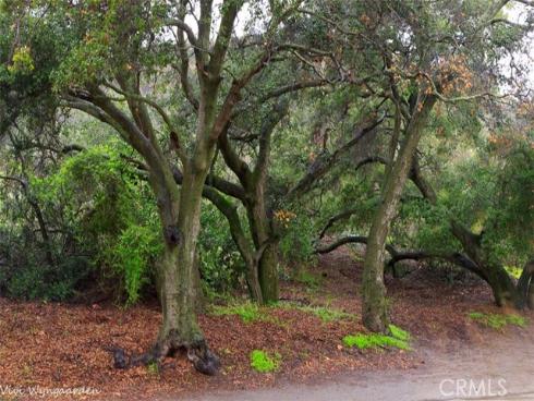 19731 Live Oak Canyon Road, Trabuco Canyon, CA