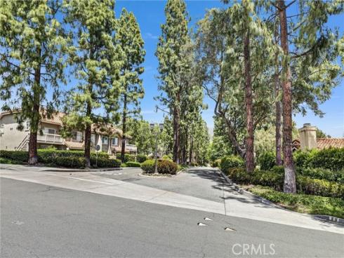 29009 Canyon Ridge 110 Drive, Trabuco Canyon, CA