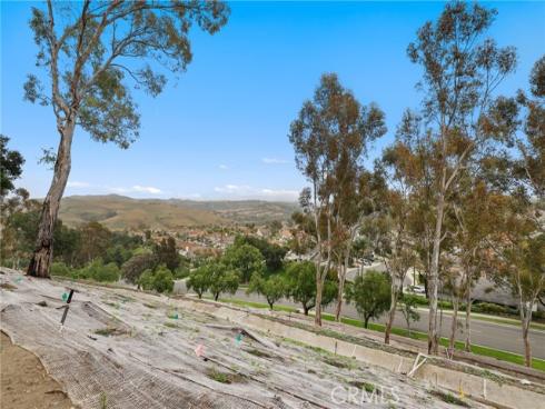 28972 Canyon Rim Drive #245 , Trabuco Canyon, CA