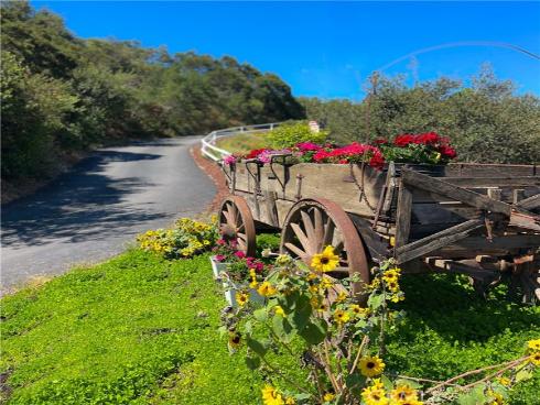 19041 Live Oak Canyon Road, Trabuco Canyon, CA