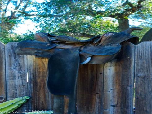 19041 Live Oak Canyon Road, Trabuco Canyon, CA