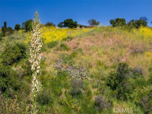 19041 Live Oak Canyon Road, Trabuco Canyon, CA