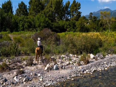 19735  Live Oak Canyon Rd  , Trabuco Canyon, CA