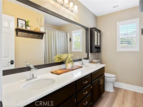 9  Swallows  , Trabuco Canyon, CA