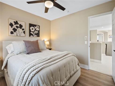 9  Swallows  , Trabuco Canyon, CA