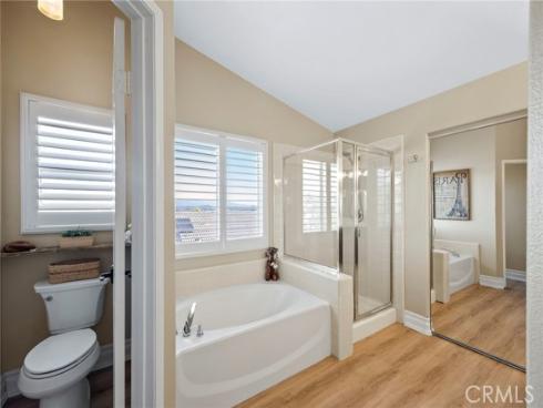 9  Swallows  , Trabuco Canyon, CA