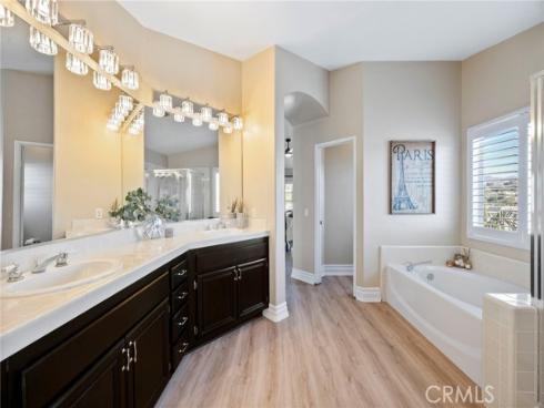 9  Swallows  , Trabuco Canyon, CA