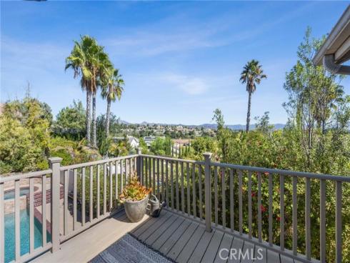 9  Swallows  , Trabuco Canyon, CA