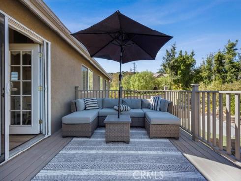 9  Swallows  , Trabuco Canyon, CA