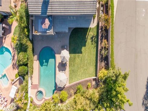 9  Swallows  , Trabuco Canyon, CA