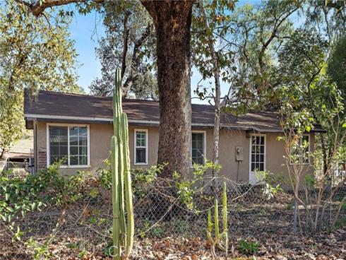 20292  Sycamore  , Trabuco Canyon, CA