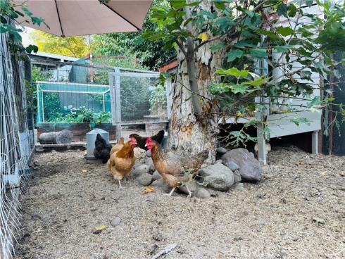 20462 Pine Road, Trabuco Canyon, CA