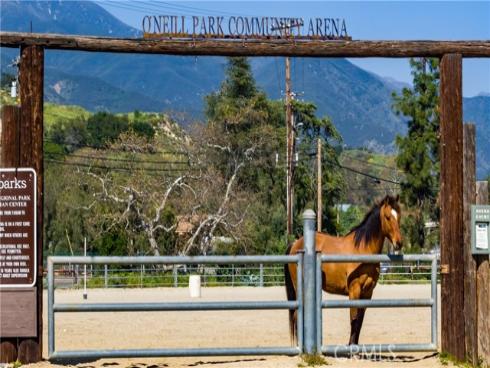 20462 Pine Road, Trabuco Canyon, CA