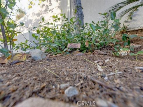 31952  Mill Stream  , Trabuco Canyon, CA