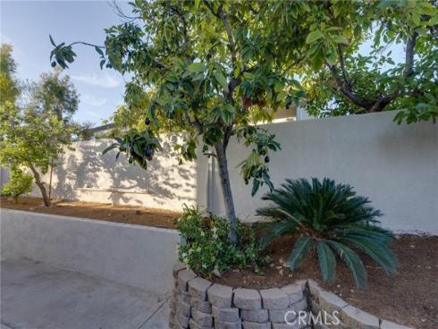 31952  Mill Stream  , Trabuco Canyon, CA