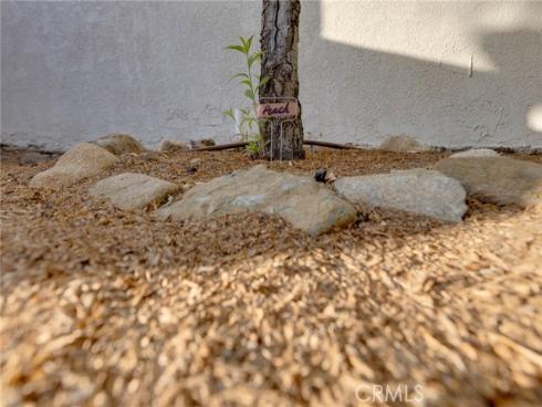 31952  Mill Stream  , Trabuco Canyon, CA