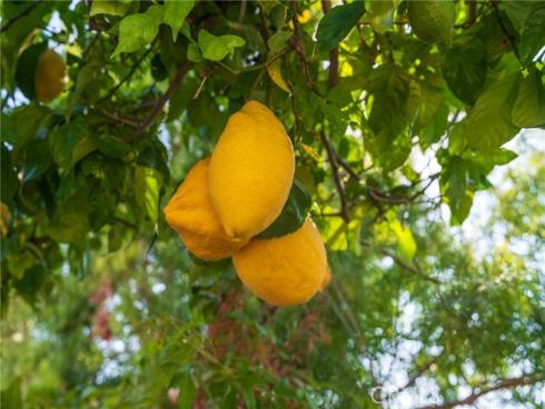 2141 Palermo , Tustin, CA