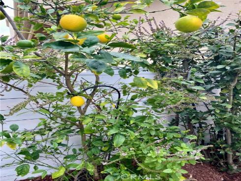 12891  Mackenzie   Drive, Tustin, CA