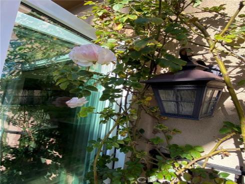 12891  Mackenzie   Drive, Tustin, CA