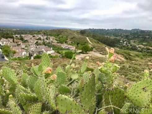 10533  Emerson Bend  , Tustin, CA