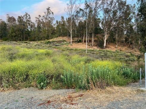2564  Newman   Avenue, Tustin, CA