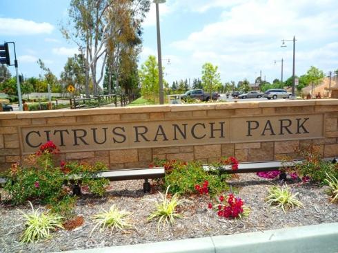 11739 Willard Avenue, Tustin, CA
