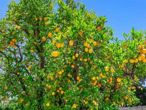 9612 Christine Circle, Villa Park, CA