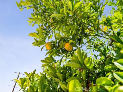 7923 10th Street, Westminster, CA