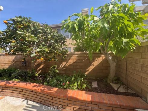 14642  birch   Street, Westminster, CA