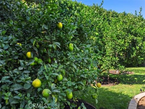 5571 Clover Hill Drive, Yorba Linda, CA