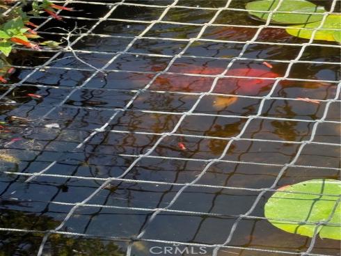 19501 Shadow Hill Drive, Yorba Linda, CA