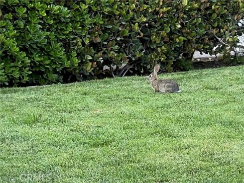 20709 Calle Pera , Yorba Linda, CA