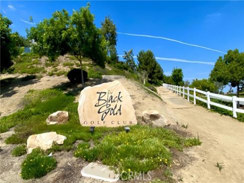 4332  Wild Ginger   Circle, Yorba Linda, CA