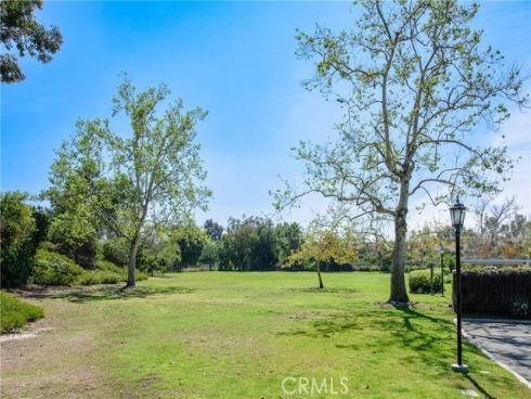 6084  Terrace  , Yorba Linda, CA