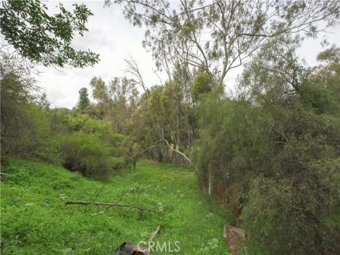 5381  Danza Plaza  , Yorba Linda, CA