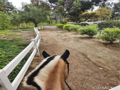 5821 Blueberry Street, Yorba Linda, CA