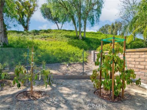 5387  Via Ramon   Road, Yorba Linda, CA