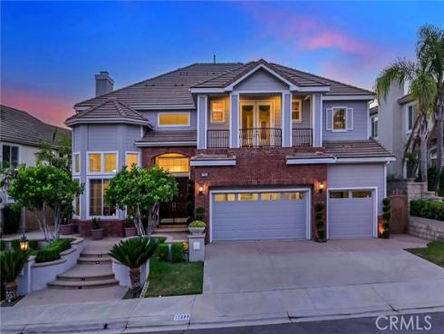 17265 Blue Spruce