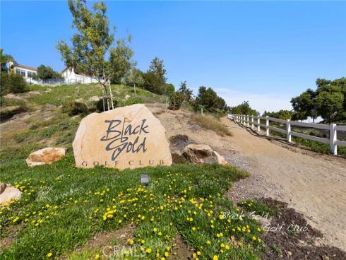 17206  Coriander   Court, Yorba Linda, CA